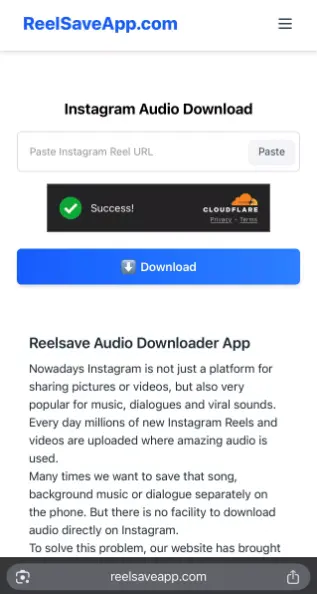 Instagram Audio Downloader<
